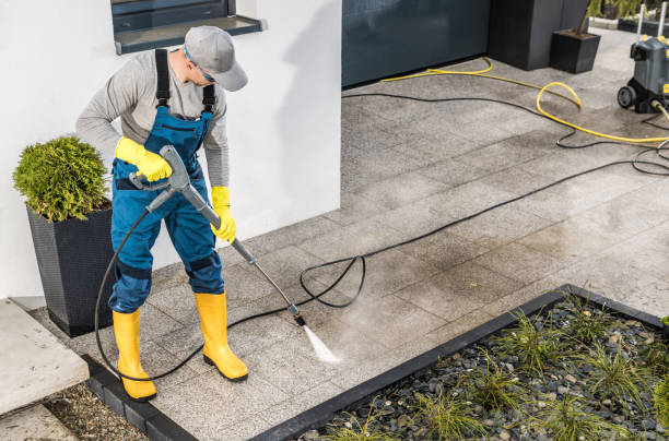 Best Pressure Washing Near Me  in Monette, AR